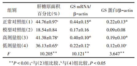 小鼠肝糖原含量、GS-mRNA和GS蛋白的比较结果.png